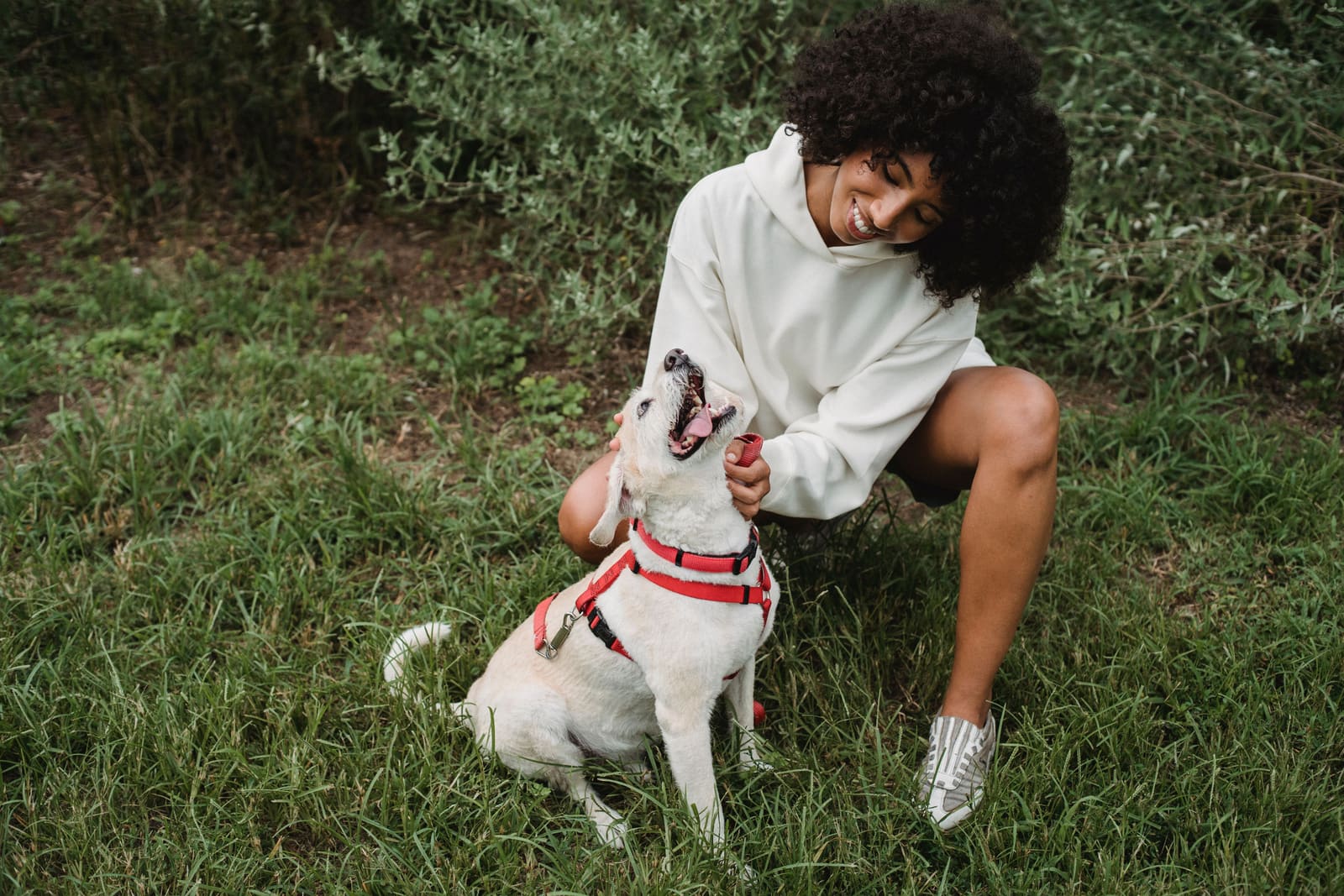 Dog playing happily outdoors in spring grass with its owner, ahead of the season's pollen spike
